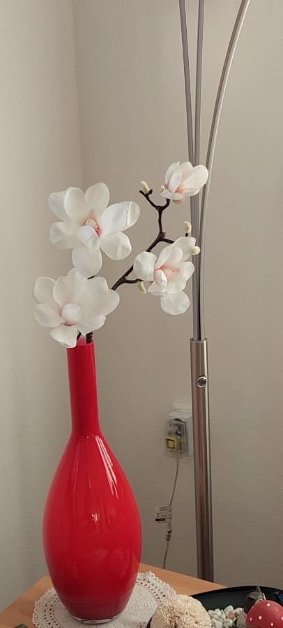 Ferienwohnung Odenwaldblick Momlingen Εξωτερικό φωτογραφία